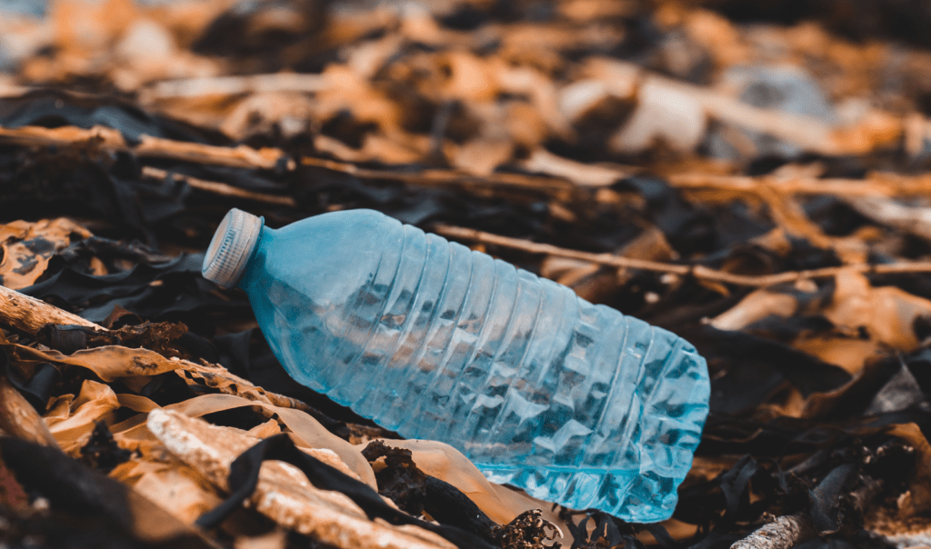 15 science-backed plastic pollution facts, shared by Ocean Generation: experts in Ocean health since 2009. Read to learn about marine pollution, microplastics, and how plastic impacts human health.