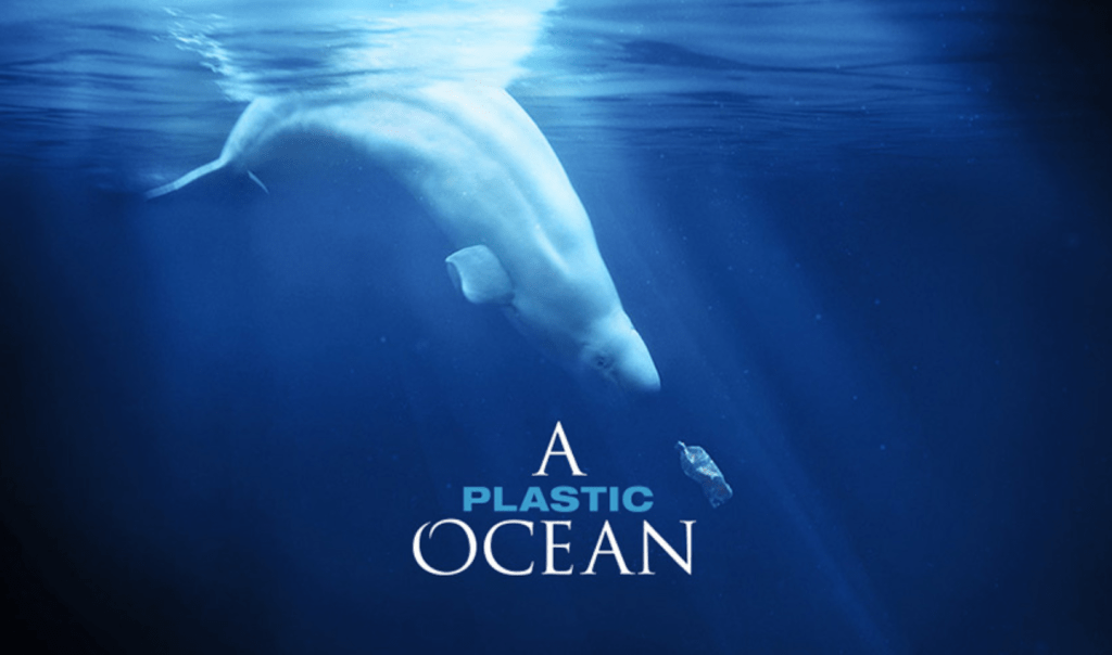 Ocean Generation are creators of the award-winning documentary: A Plastic Ocean.