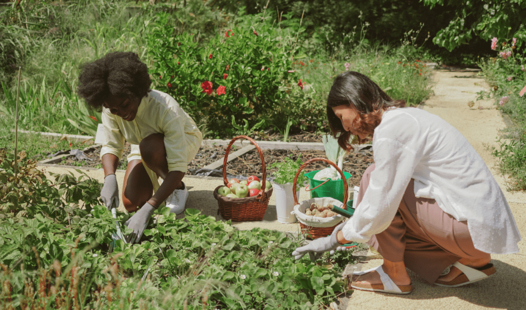 Community garden featuring a middle aged Asian woman and young African child working in the garden. 