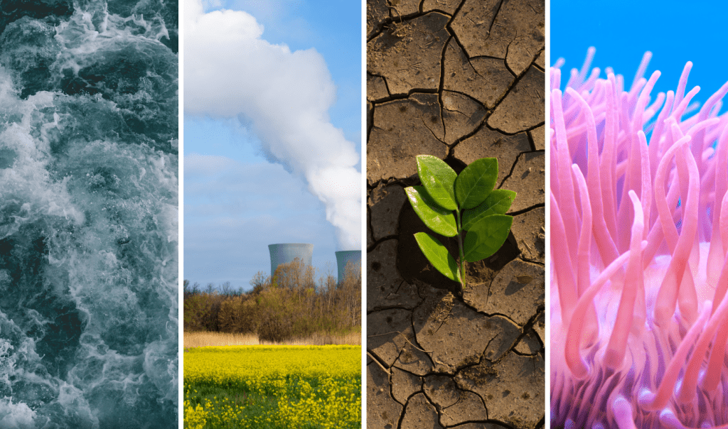 Four images side by side: Rough blue Ocean waves and foam, a factory releasing carbon emissions behind a field of yellow floowers, a single green lead on a crusty dry piece of Earth, a bright pink and healthy coral in the Ocean. Ocean Generation makes climate science simple to understand.