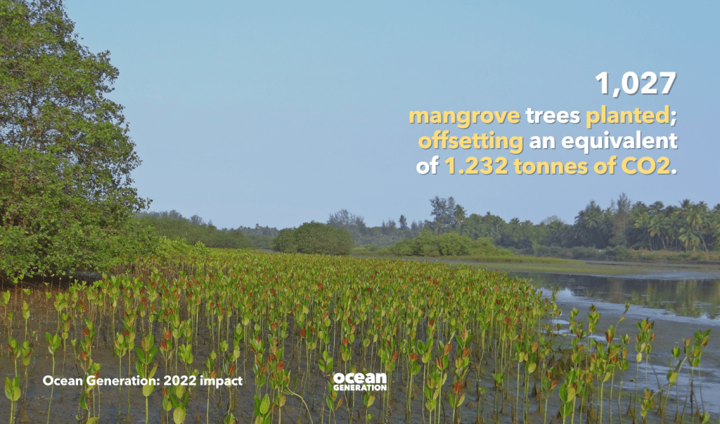 Ocean Generation is the Ocean charity that teaches people about the Ocean and helps them take action to mitigate the climate crisis. In 2022, Ocean Generation planted 1,027 mangrove trees to sequester carbon and protect the planet.