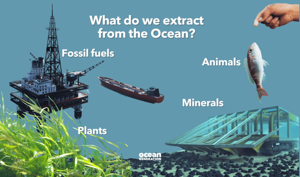 What resources do we extract from the Ocean? Fossil fuels, animals, minerals and plants are all extracted from the Ocean for human use. Ocean Generation is breaking down what the impact of Oceanic resource extraction is.