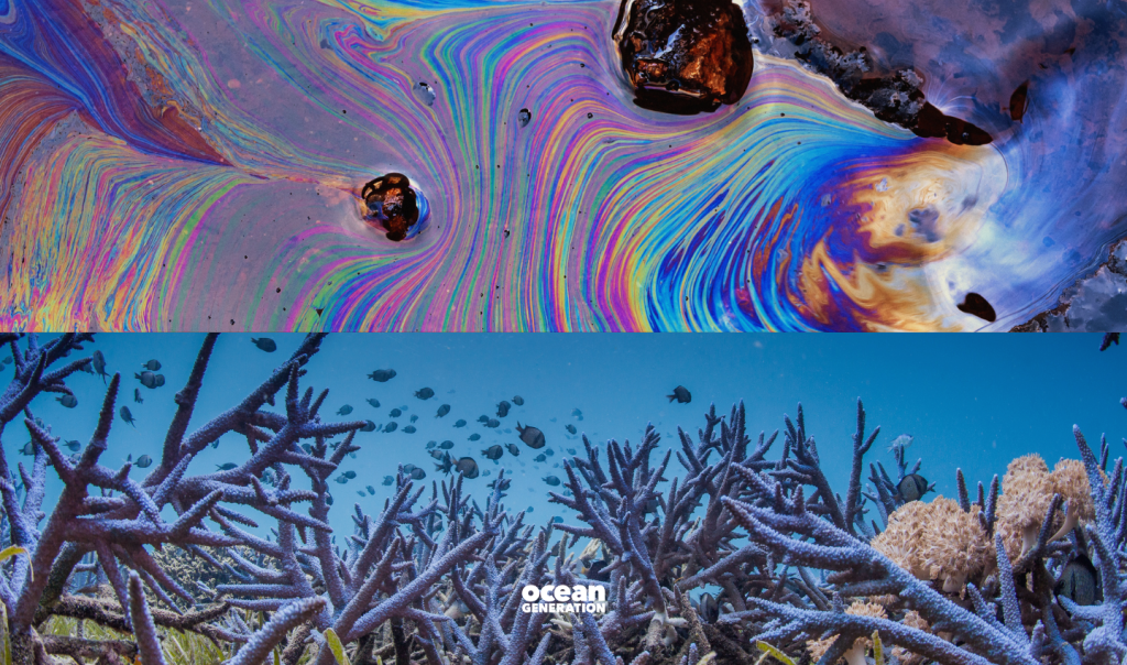 This Ocean Generation above and below image shows human impact on the Ocean in the top half of the image with an oil spill in the Ocean and in the bottom half, the flourishing Ocean. An array of fish are swimming among bright blue corals. 