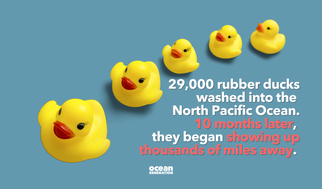 29,000 toy rubber ducks washed into the Ocean. 10 months later, they were showing up all around the world. It proved that our Ocean is one, connected system.
