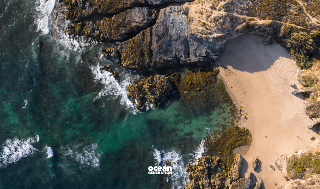Aerial view of a beach and the Ocean shared by Ocean Generation - experts in Ocean health since 2009.