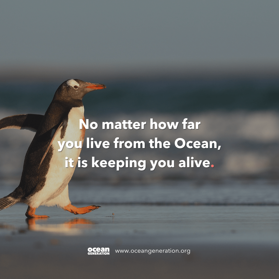 Ocean is keeping you alive