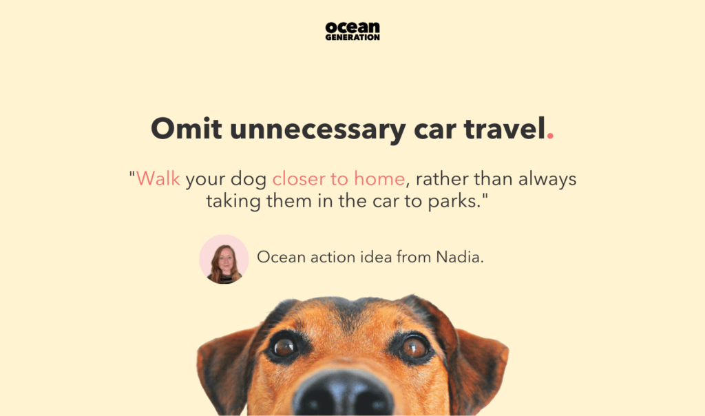 10 ways you can take action to fight climate change. Tip: Omit unnecessary car travel.