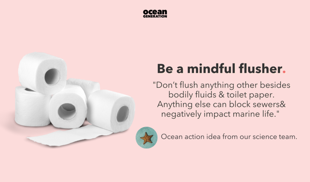 Ocean action tip: Don't flush anything down the drain besides toilet paper and bodily fluids. What goes down the drain ends up in the Ocean.