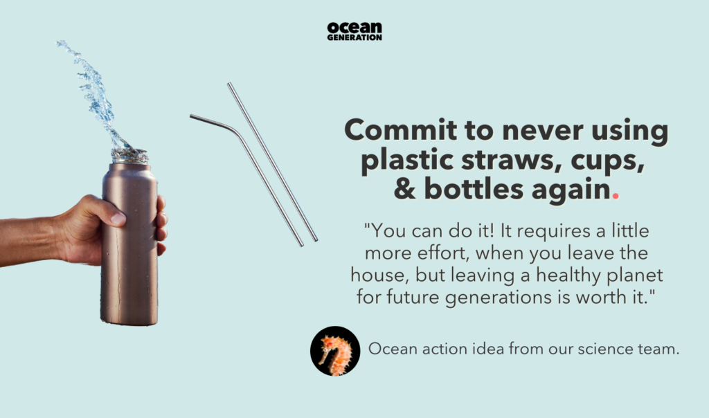 Protect the Ocean by committing to never using a plastic straw, bottle or cup again. There are so many eco-alternatives out there.