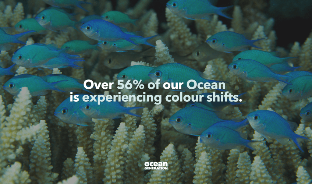 More than half of the Ocean is turning green. It's changed colour in the last 20 years, becoming more green than blue. That's more than Earth's total land area. The culprit is climate change. Ocean Generation has translated the report into an easy read. 