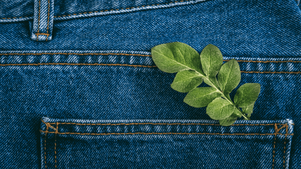 Green leaf poking out of a jean pocket, representing sustainable fashion. Shared by Ocean Generation.