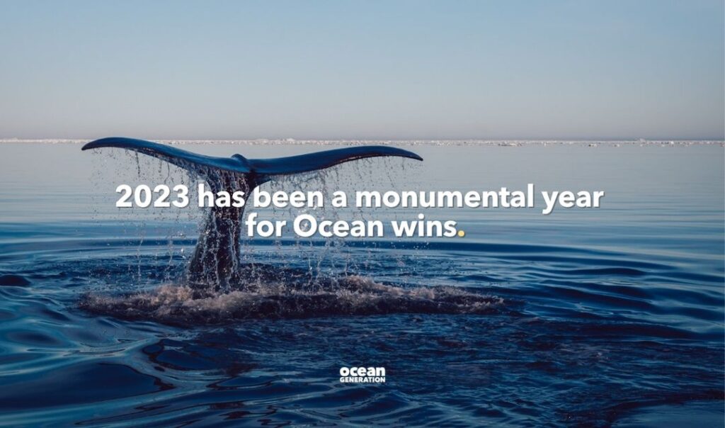 Whale tail breaking out of the Ocean. 2023 was a momentous year for Ocean wins. Ocean Generation is sharing the Ocean wins that happened in 2023 and a timeline of other extreme weather events.