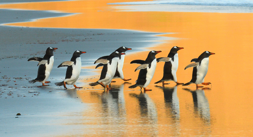 Make Waves Ocean Generation Make Waves Ocean Generation