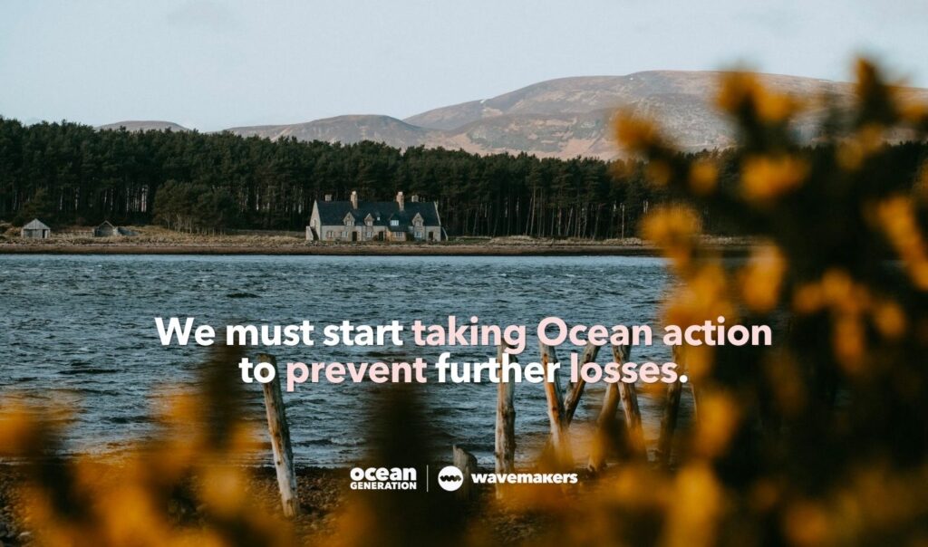 We must start taking Ocean action to prevent further losses. Quote shared by Ocean Generation in an article about marine conservation programmes in the UK.