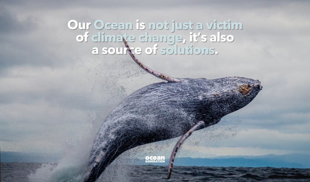 Our Ocean is not just a victim of climate change, it's a source of solutions.