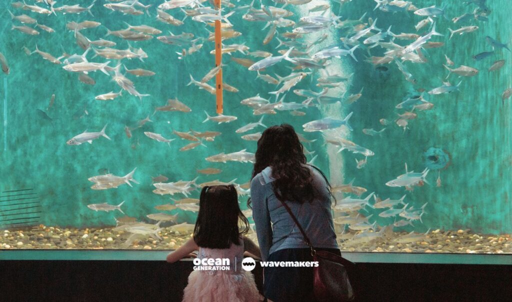 The Seattle Aquarium showcases the vast diversity of life in our Ocean. A Wavemaker Story by Katie, posted by Ocean Generation, leaders in Ocean education.