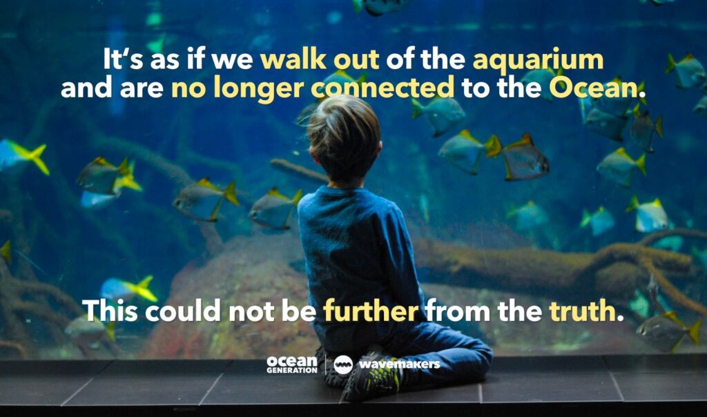 As if we walk out of the Aquarium, we're no longer connected to the Ocean.