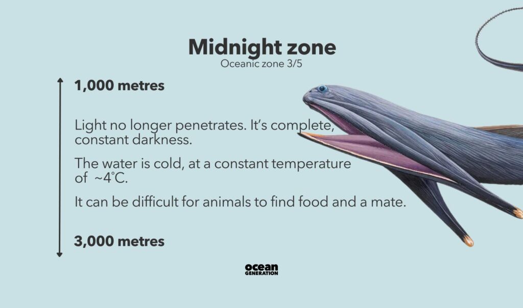 Light no longer penetrates the Midnight zone.