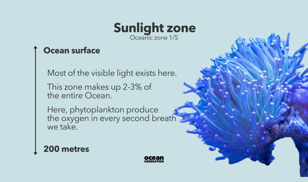 The sunlight zone has the most-visible light in our Ocean. Posted by Ocean Generation, leaders of Ocean education.