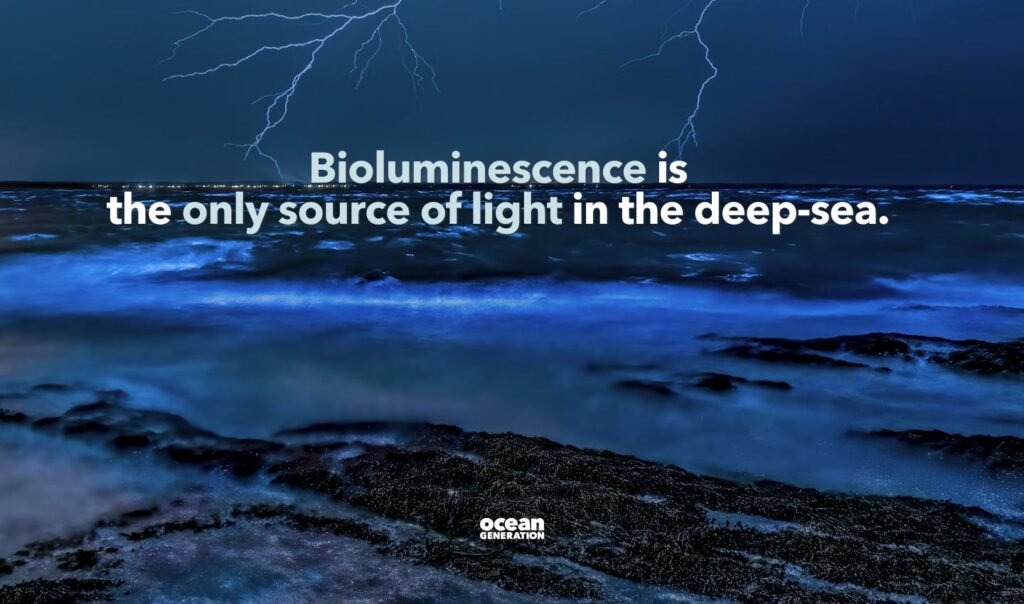 Bioluminescence is the only source of light in the deep Ocean.
