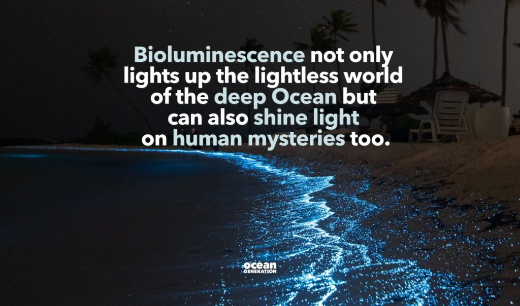 Bioluminescence shines a light on our human mysteries. Posted by Ocean Generation.