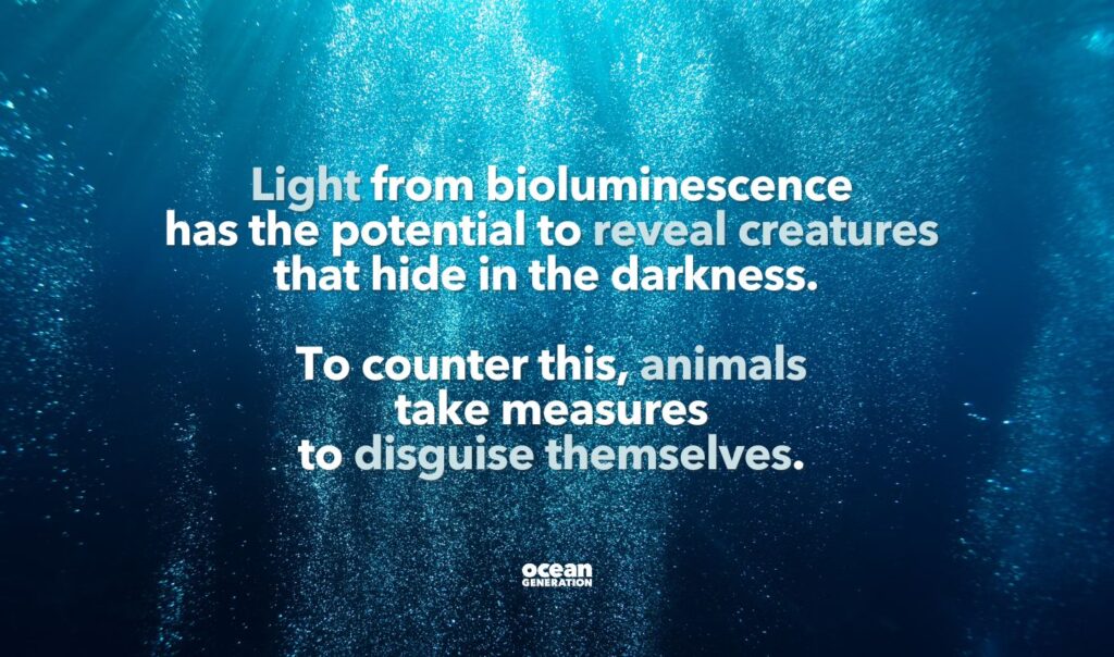 Light from bioluminescence 
has the potential to reveal creatures 
that hide in the darkness.  Posted by Ocean Generation. 