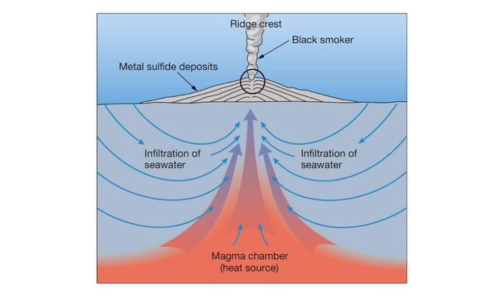 Hydrothermal vents are found at tectonic plate boundaries. Posted by Ocean Generation.