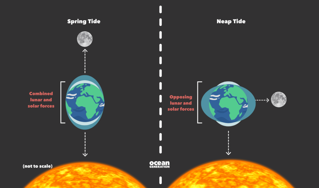 Ocean Tide Diagram The Moon And Ocean Tides TPT