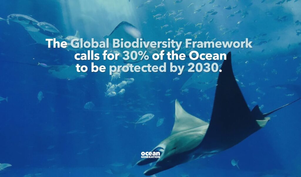 The Global Biodiversity Framework calls for 30 percent of the sea to be protected.