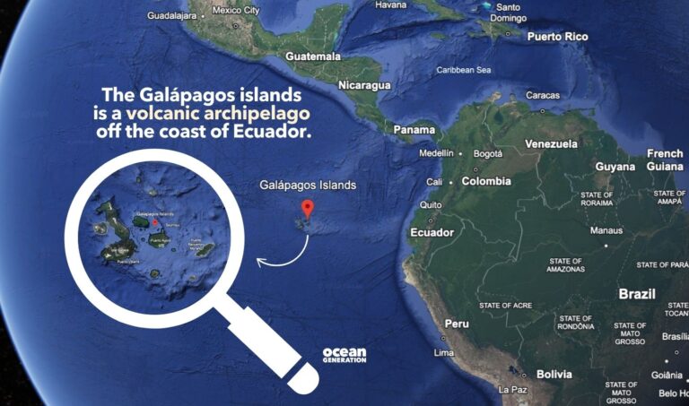 Charles Darwin’s Galápagos Voyage and Theory of Evolution - Ocean ...