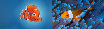 How accurate is Finding Nemo: Explained by Ocean Generation.