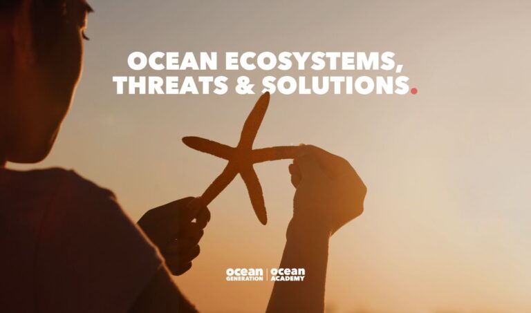 A person gently holding a starfish in their hand, symbolising human connection to Ocean life. Ocean Academy’s Introduction to the Ocean resource covers Ocean ecosystems.