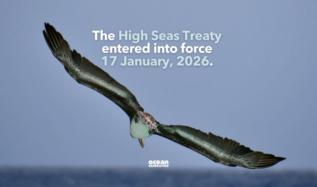 The High Seas Treaty will come into force January 2026. Posted by Ocean Generation.