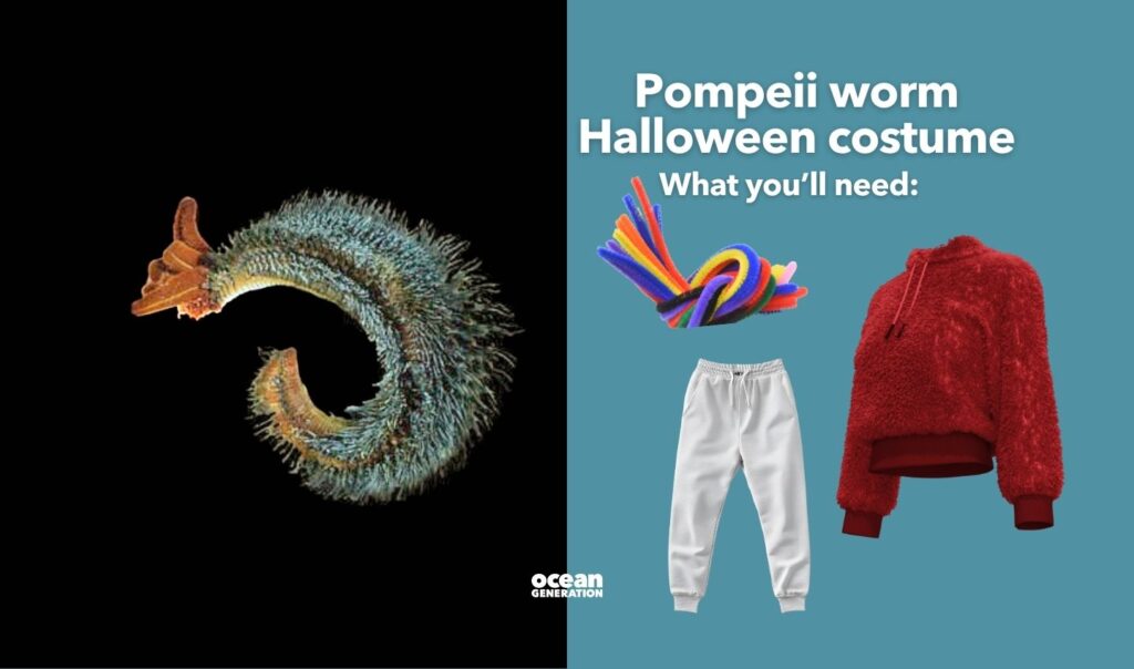 Pompeii worm Halloween costume, inspired by deep sea animals. Posted by Ocean Generation.