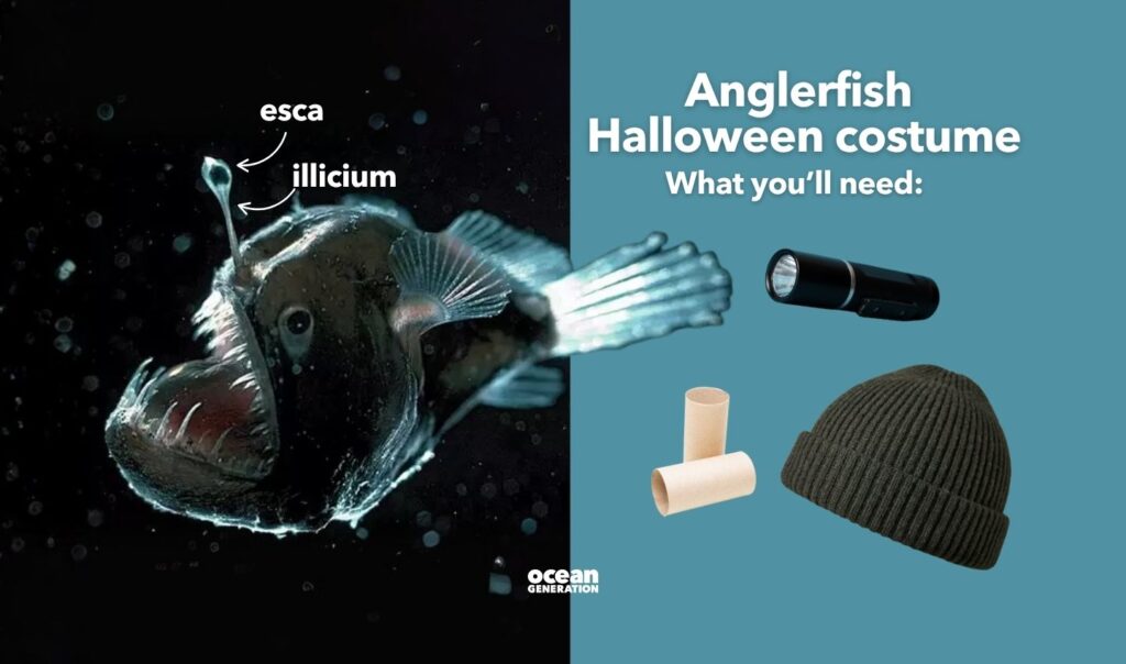 What you need for the anglerfish Halloween costume. Posted by Ocean Generation.