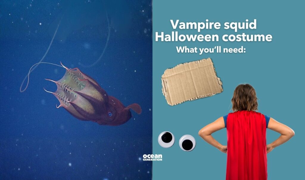 What you need for the vampire squid Halloween costume. Posted by Ocean Generation.