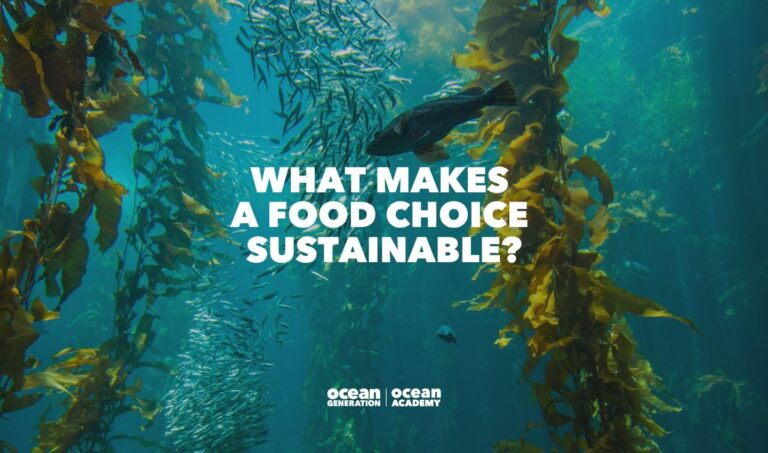 Fish swimming in a kelp forest. Writing reads: what makes a sustainable food choice? This is an Ocean learning resource by Ocean Generation.