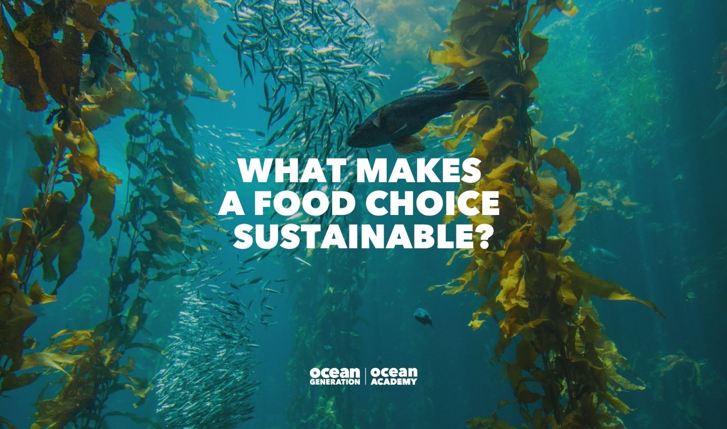 Fish swimming in a kelp forest. Writing reads: what makes a sustainable food choice? This is an Ocean learning resource by Ocean Generation.