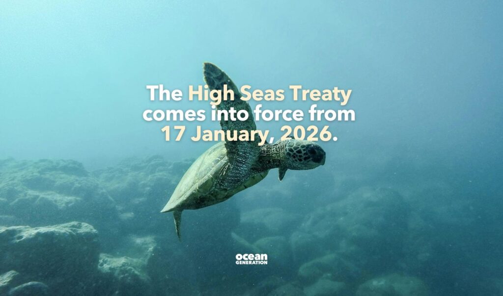 The High Seas Treaty will come into force in January 2026. Posted by Ocean Generation.