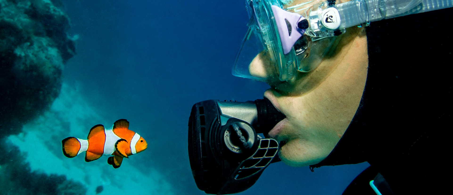 Marine discoveries and Ocean wins in 2025