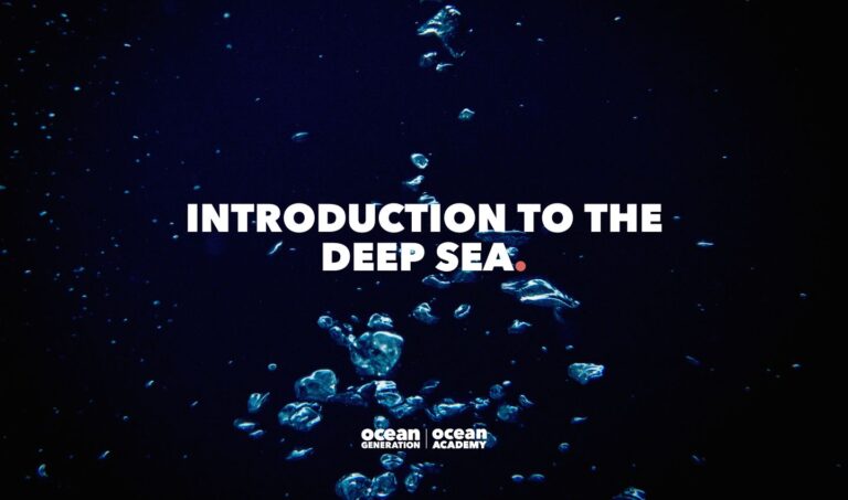 bubbles in the deep sea, shared by Ocean Generation as part of the Ocean Academy Resource Hub: free Ocean learning resources for educators.