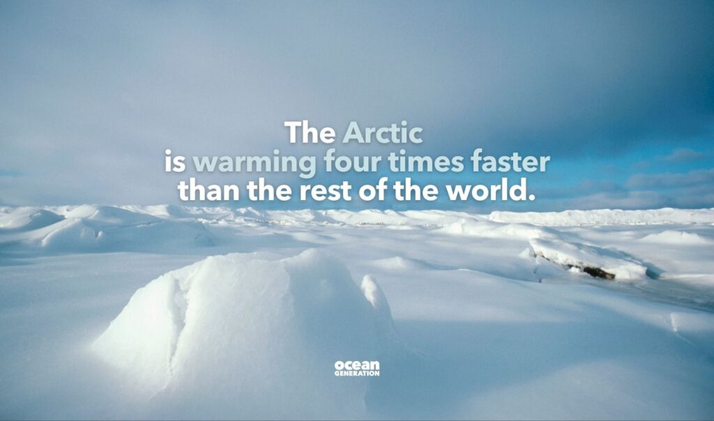 The Arctic Region is warming four times faster than the rest of the world.