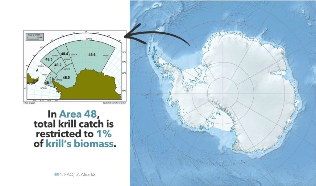 Area 48 krill fishery in Antarctica.