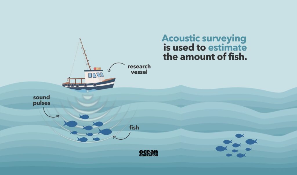 How acoustic surveying works: Explained by Ocean Generation.