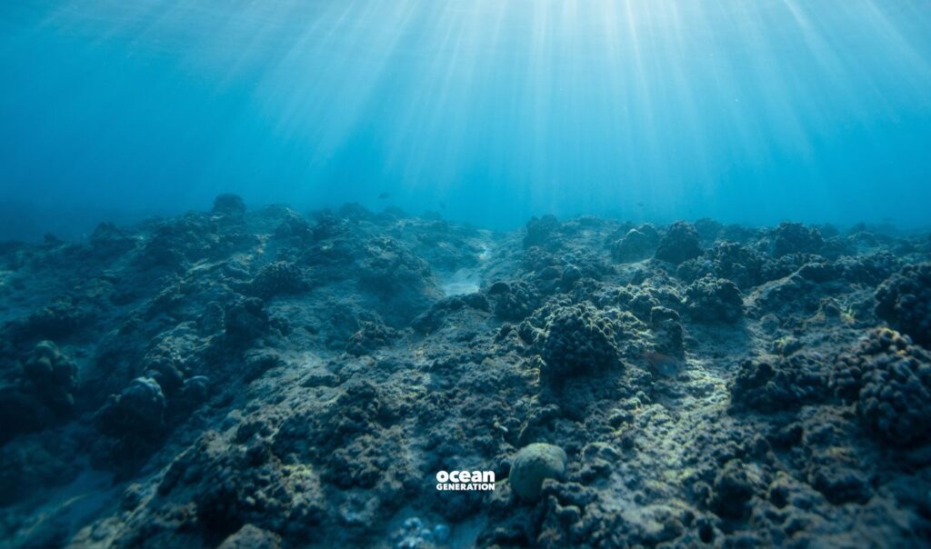 Impact of pumping carbon back into the Ocean: explained by Ocean Generation.