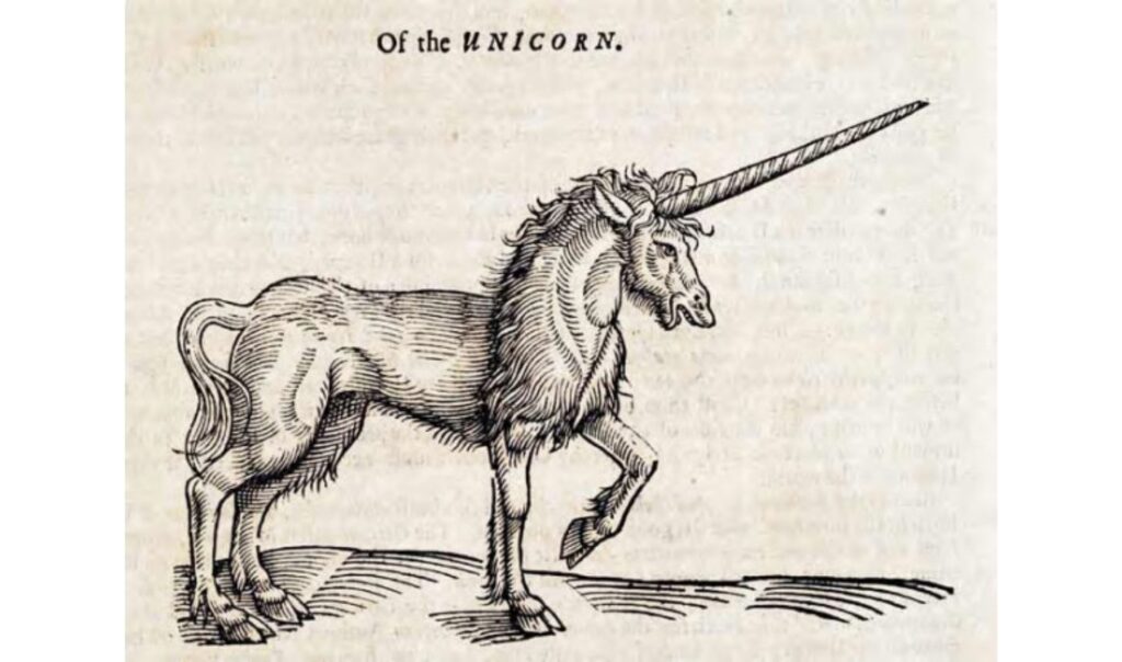 Where did yhe unicorn myth come from? Explained by Ocean Generation, leaders in Ocean education.