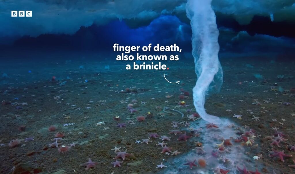 Finger of death, also known as brinicle