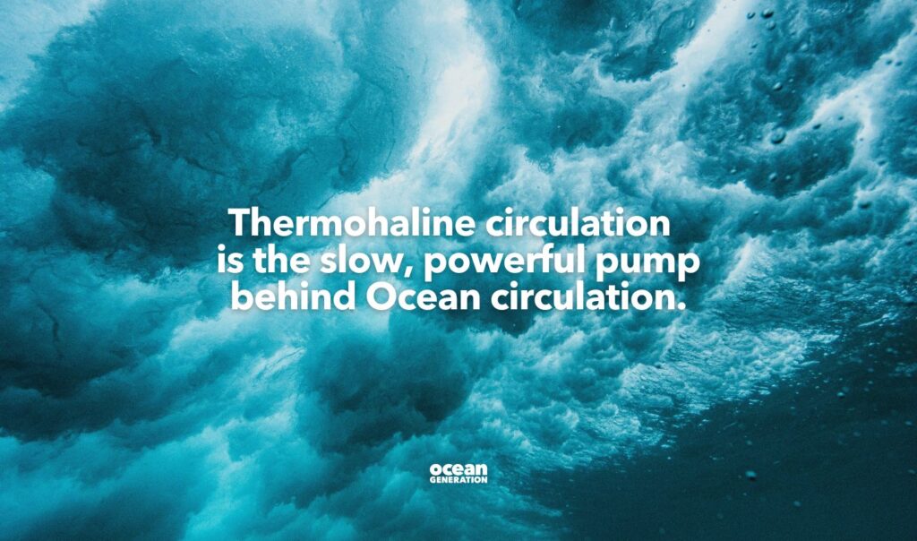 Thermohaline circulation, explained by Ocean Generation.
