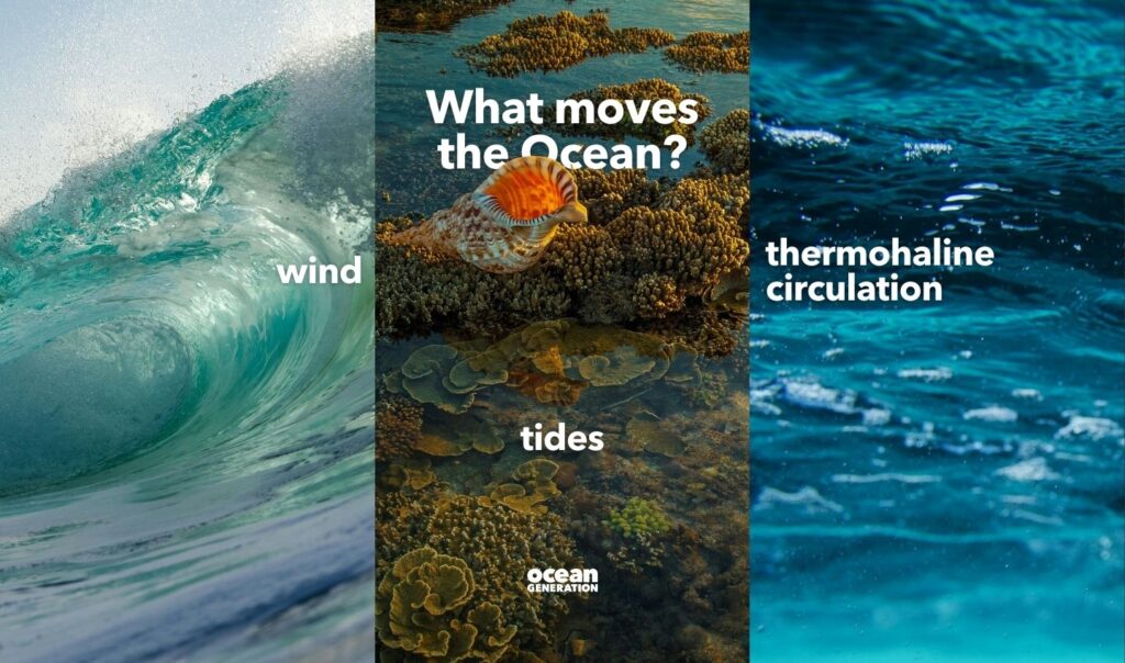 What moves the Ocean? Tides, wind and the thermohaline circulation explained.