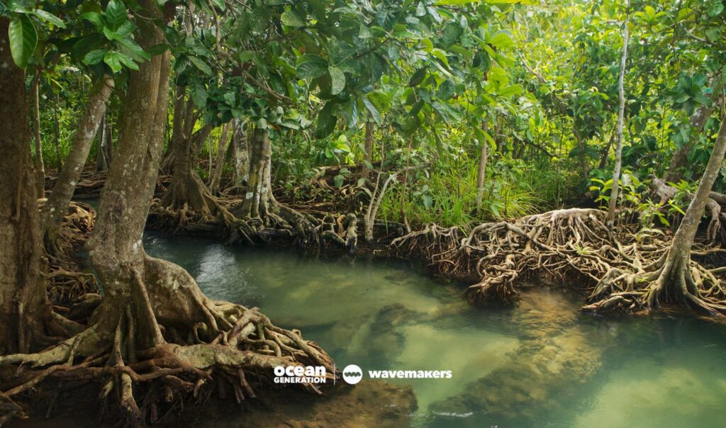 Langkawi’s main tourist attraction is the controversial eagle feeding. Explained by Ocean Generation.